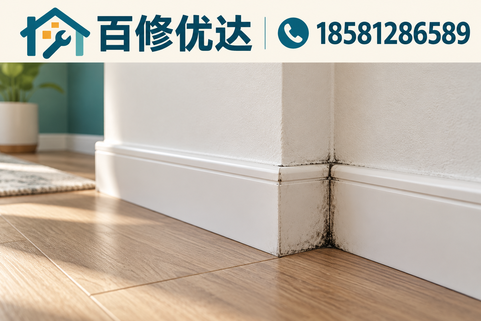 踢脚线维修知识品类示意图